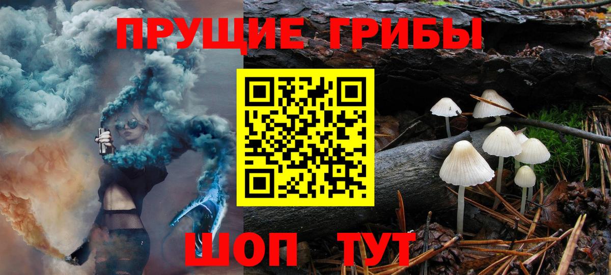 Кимры  Псилоцибиновые грибы Magic Shrooms  Вход с VPN  Галлюциногенные грибы Psilocybe 