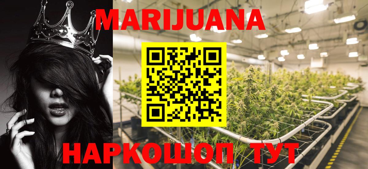 Каннабис планчик Кимры